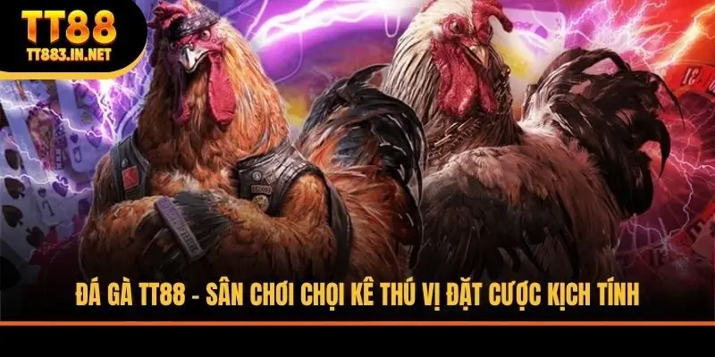 đá gà TT88 sân chơi